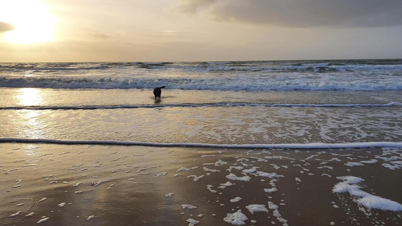 Luxe Vakantiebungalow Met Omheinde Tuin Voor Hond En Kinderen Dirkshorn Экстерьер фото